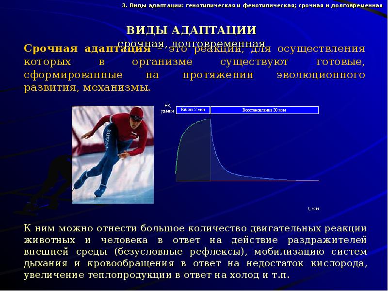 Адаптация человеческого организма к физическим нагрузкам проект 10 класс