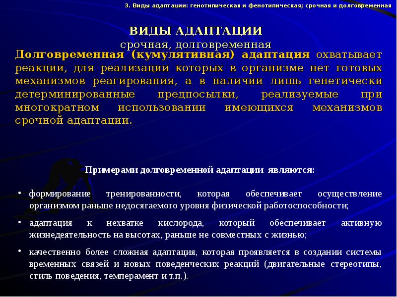 Проект на тему адаптации человеческого организма к физическим нагрузкам