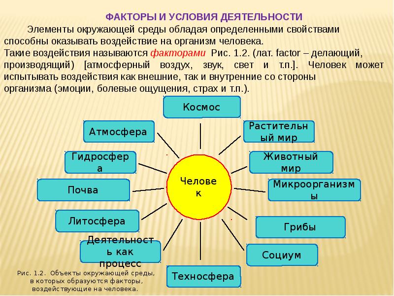 Творческий проект по дисциплине безопасность жизнедеятельности