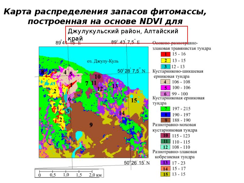 План лесонасаждений это определение