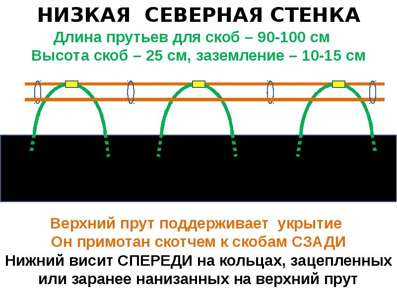 Грядка бублика схема