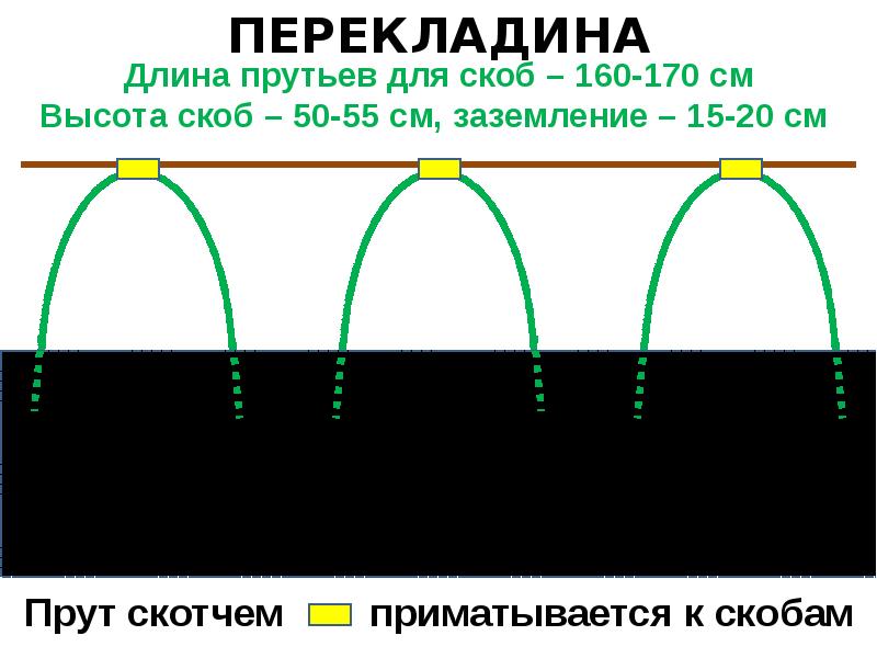 Грядка розума схема