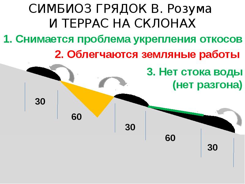 Овощные грядки от владимира розума