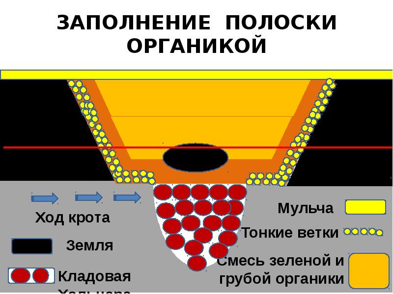 Грядка бублика схема