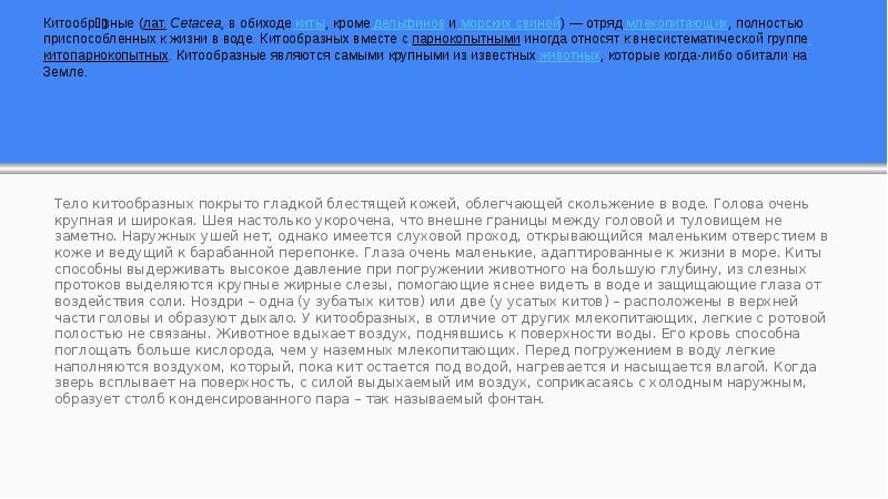 Реферат: Отряд китообразные