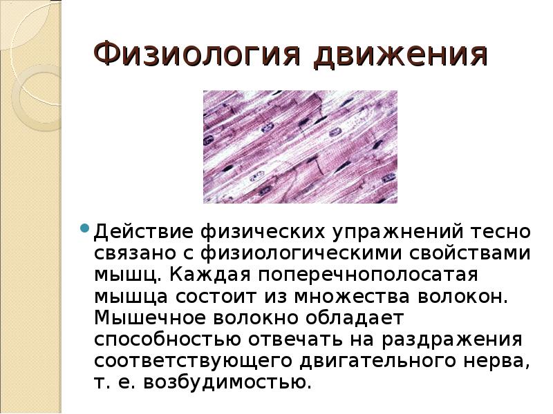 Мышечные волокна матки. Свойства мышечных волокон. Влияние физических упражнений на мышцы. Физиология движения. Физические и физиологические свойства поперечно полосатых мышц.