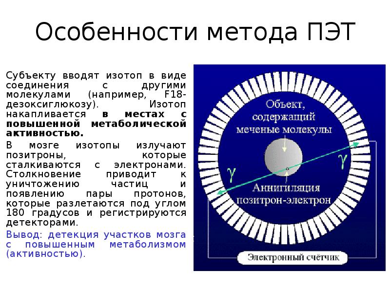 метаболическая активность что это на пэт