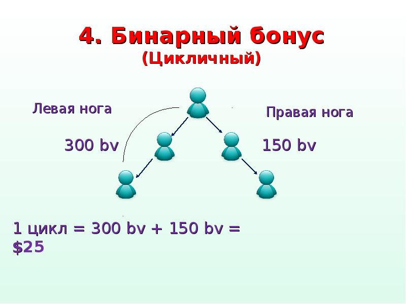 Бинарный маркетинг план