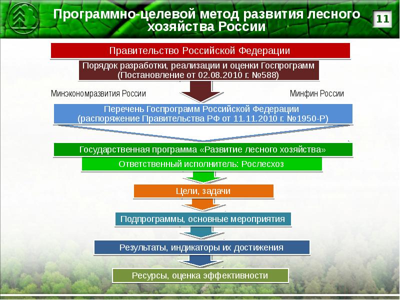 Федеральный орган управления лесным хозяйством. Развитие лесного хозяйства. Основные направления лесничества. Основные направления лесного хозяйства.