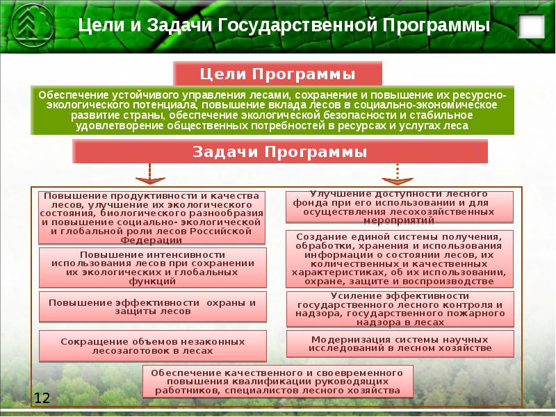 Нормативно правовое регулирование охраны лесов в российской федерации проект