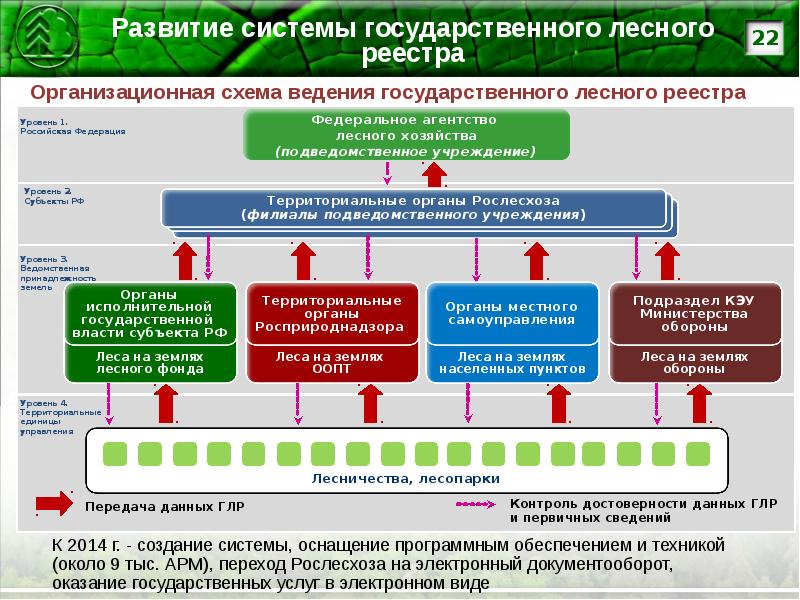 Территориальное управление лесного хозяйства