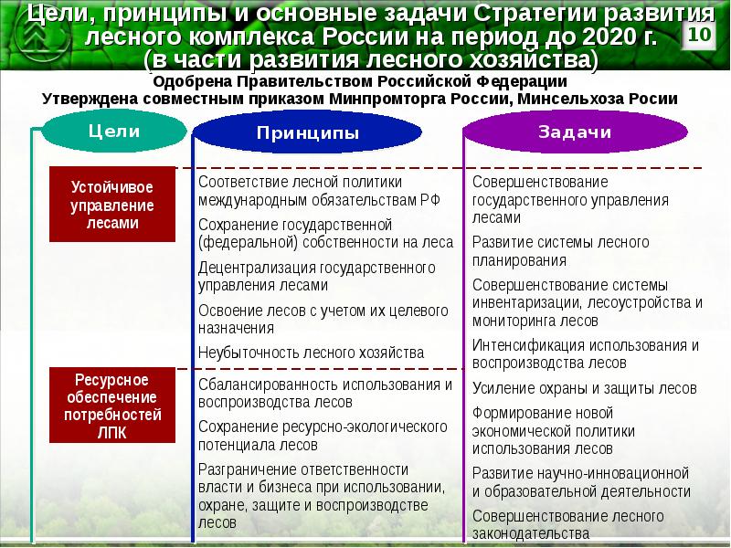 Цели лесного комплекса. Стратегия развития лесного комплекса в России. Задачи лесного комплекса. Задачи развития лесного комплекса. Направления развития лесного хозяйства.