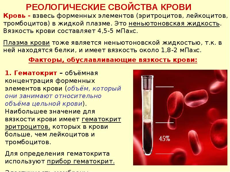 Донорство эритроцитов. Причины вязкости крови. Причины разжижения крови.
