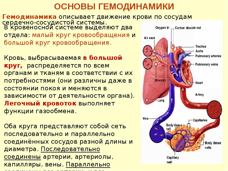 Что значит нарушение гемодинамики