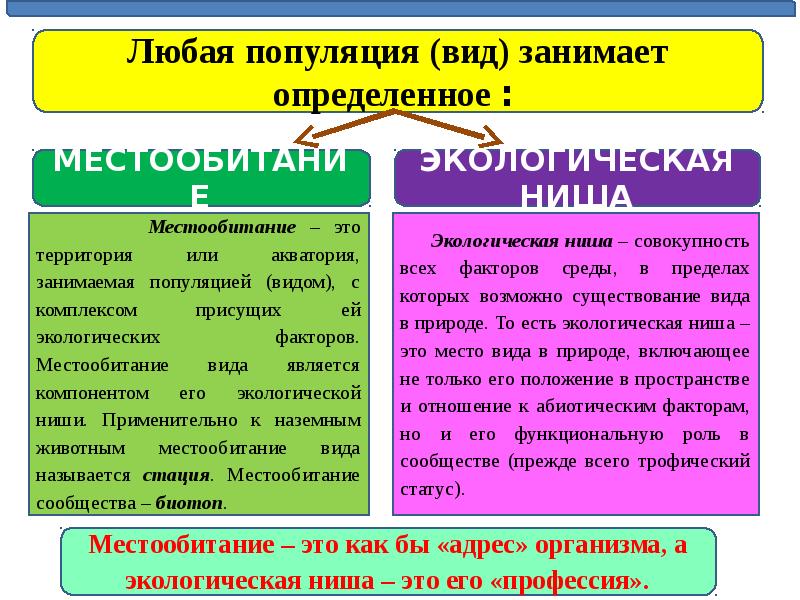 Экологические сообщества презентация 11 класс биология