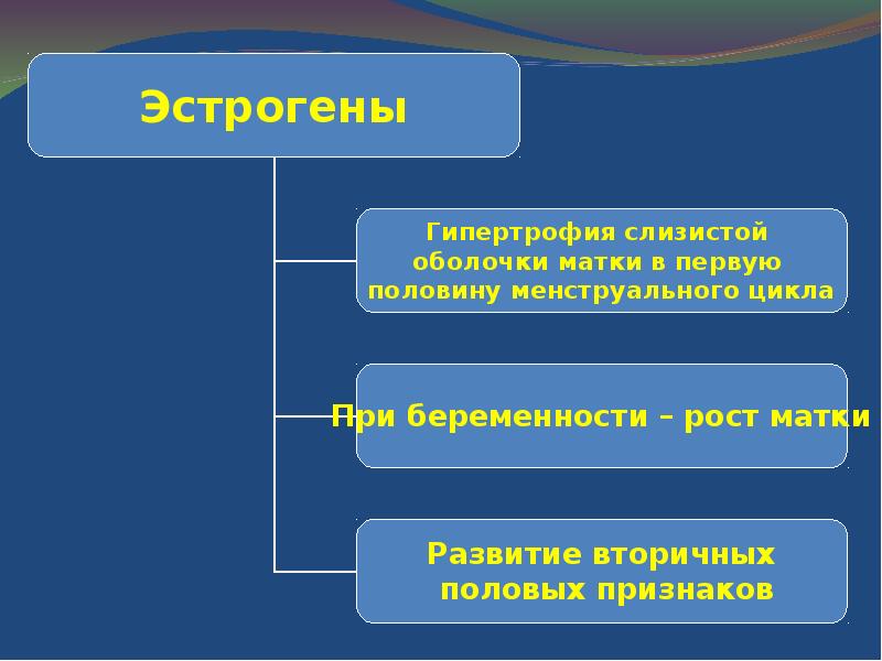 Презентация на тему репродуктивная система