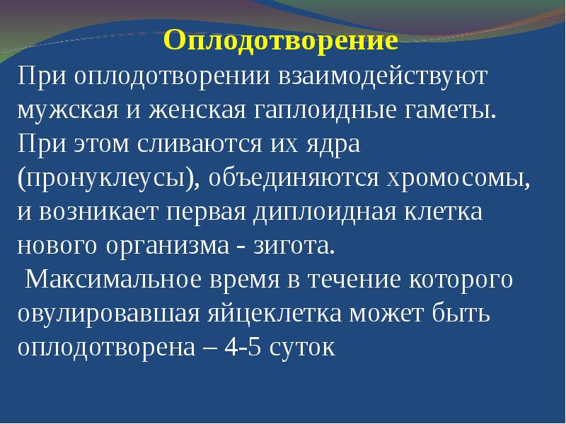 Репродуктивная система человека презентация