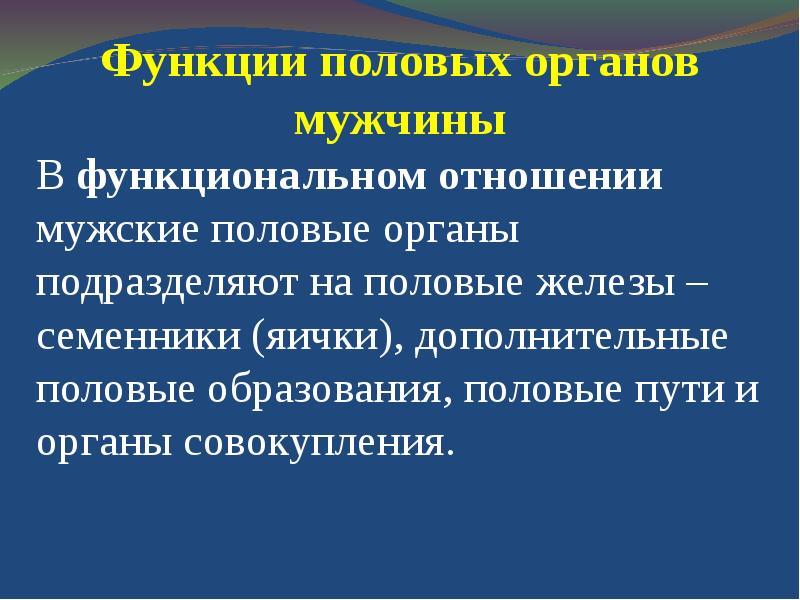 Репродуктивная система человека презентация