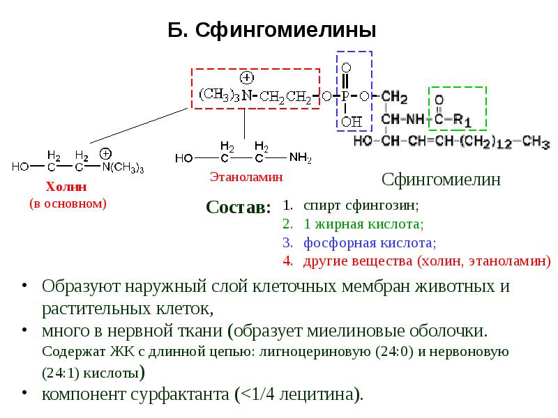 Липиды биохимия лекция презентация