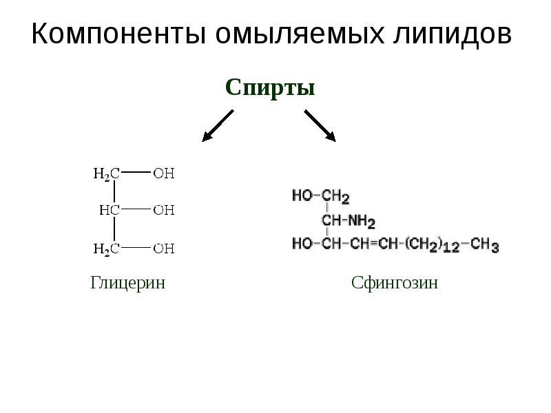 Липиды омыляемые презентация