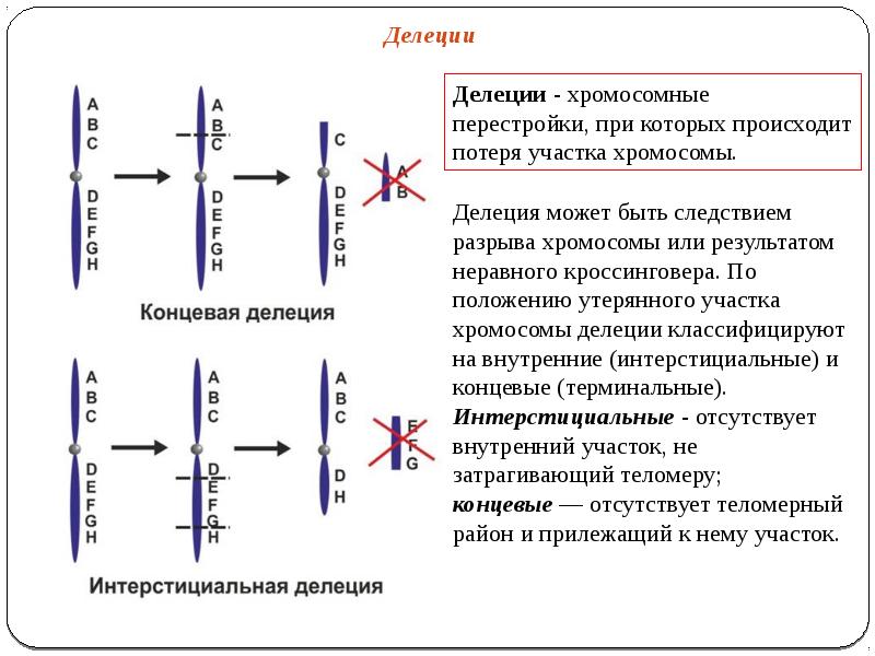 Делеция это