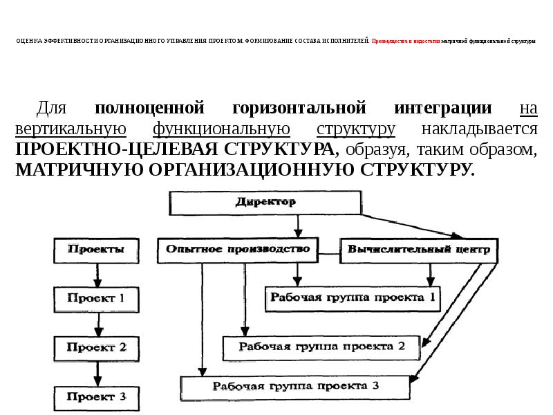 Оценка эффективности организационных проектов