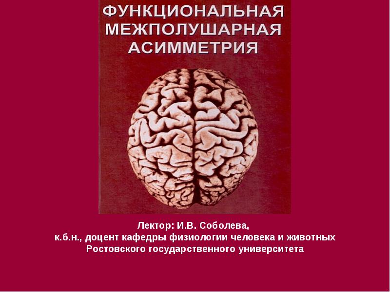 Реферат: Функциональная асимметрия полушарий головного мозга 2
