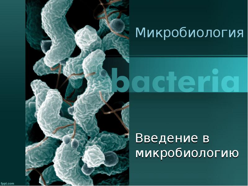 Современные технологии применяемые в клинической микробиологии презентация