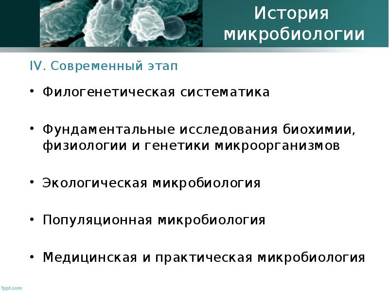 Генетика микроорганизмов микробиология