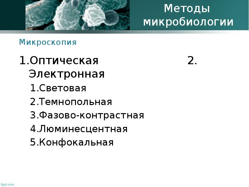 Микроскопия микробиология презентация