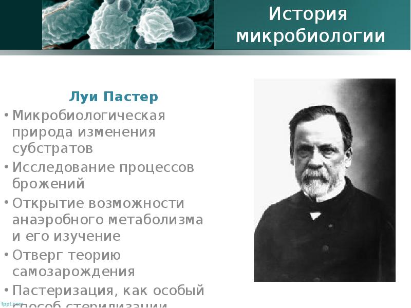 Микробиология это наука изучающая. Луи Пастер открытия. Луи Пастер вклад в микробиологию. Луи Пастер биотехнология. Луи Пастер и его открытия в микробиологии.