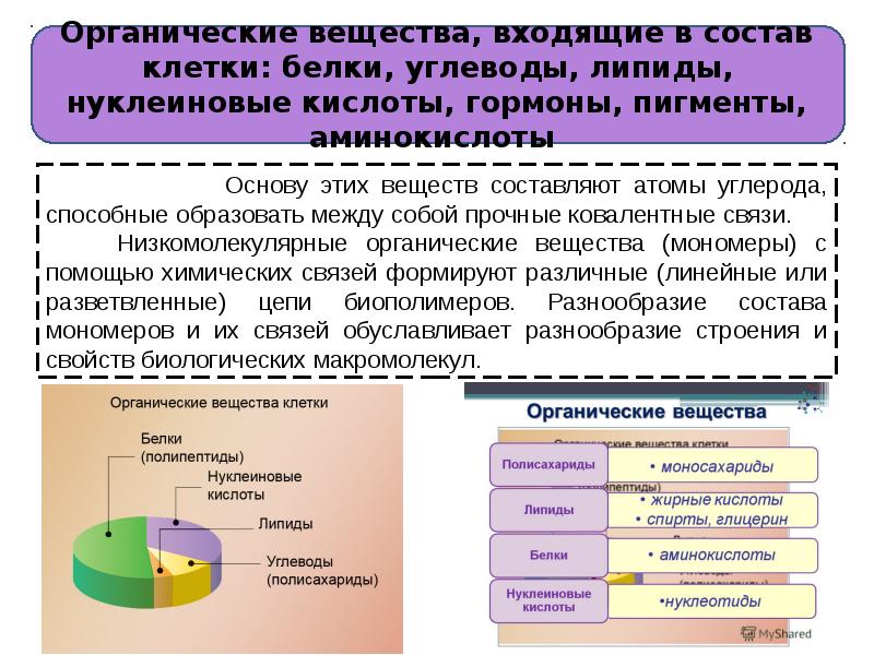 Вещества в составе клетки