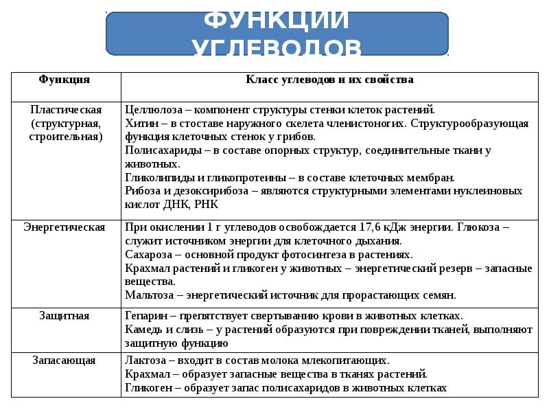 Биология 5 класс таблица жизнедеятельность. Процессы жизнедеятельности клетки таблица. Таблица по биологии 5 класс процессы жизнедеятельности клетки. Жизнедеятельность клетки таблица. Жизнедеятельность клетки 5 класс биология таблица.