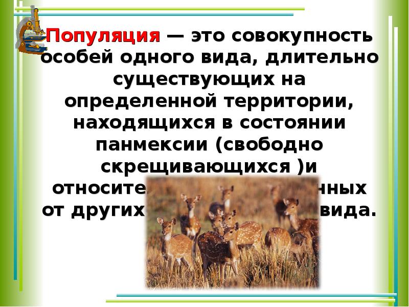 Популяция это особая. Популяция презентация. Экологический вид популяции. Экологическая структура популяции примеры. Популяция как экологическая единица доклад.