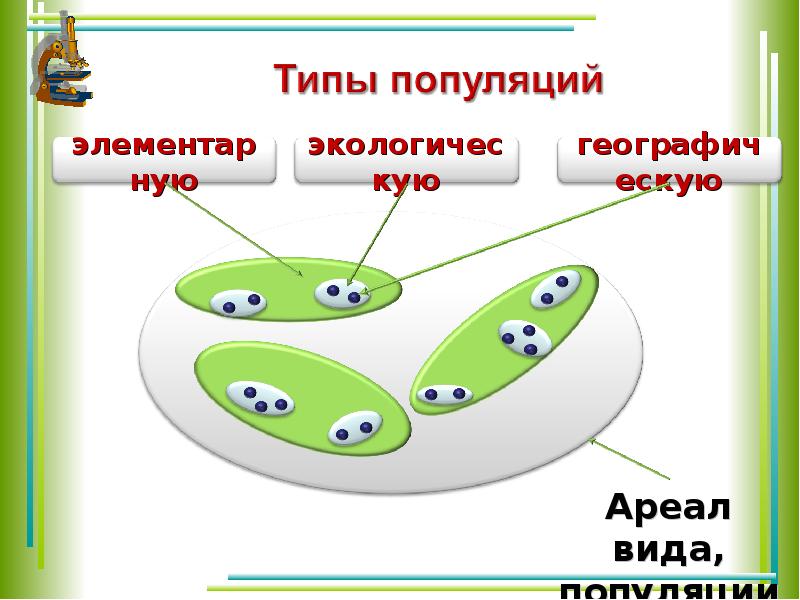 Виды популяций презентация