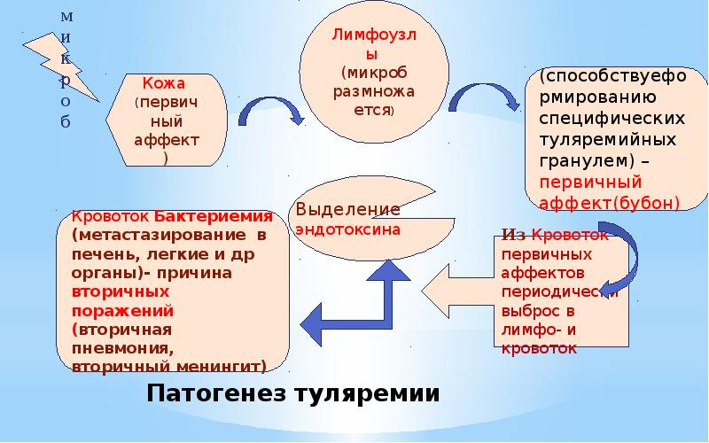 Туляремия микробиология презентация