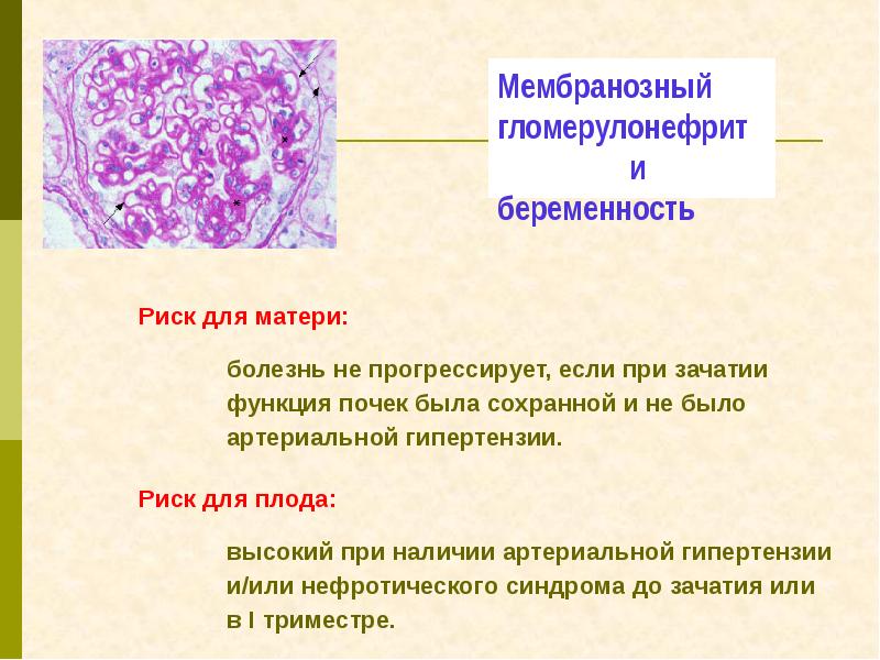 Заболевания почек и беременность презентация