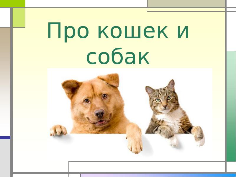 Про кошек и собак Про кошек и собак