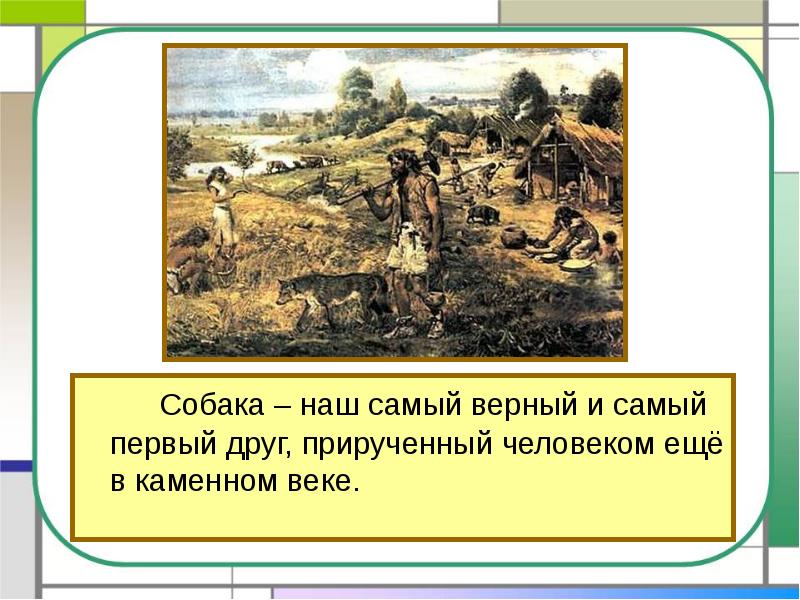Собака – наш самый верный и самый первый друг, прирученный человеком Собака – наш самый верный и самый первый друг, прирученный человеком