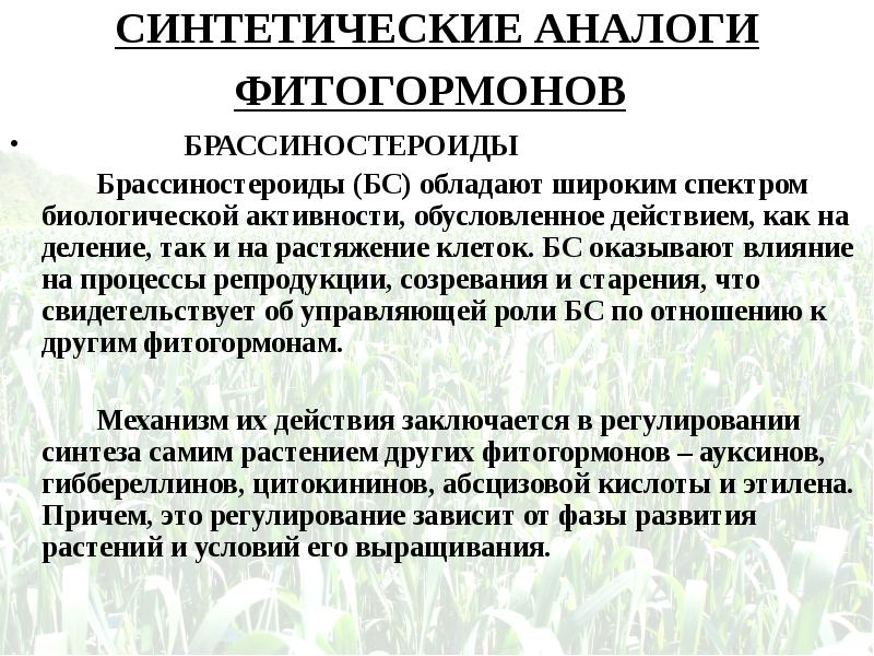 Широкий спектр синтетический или. Разнообразие значок. Антибиотики широкого и узкого спектра действия. Широкий спектр синтетический или. Синтетические противогрибковые средства азолы.