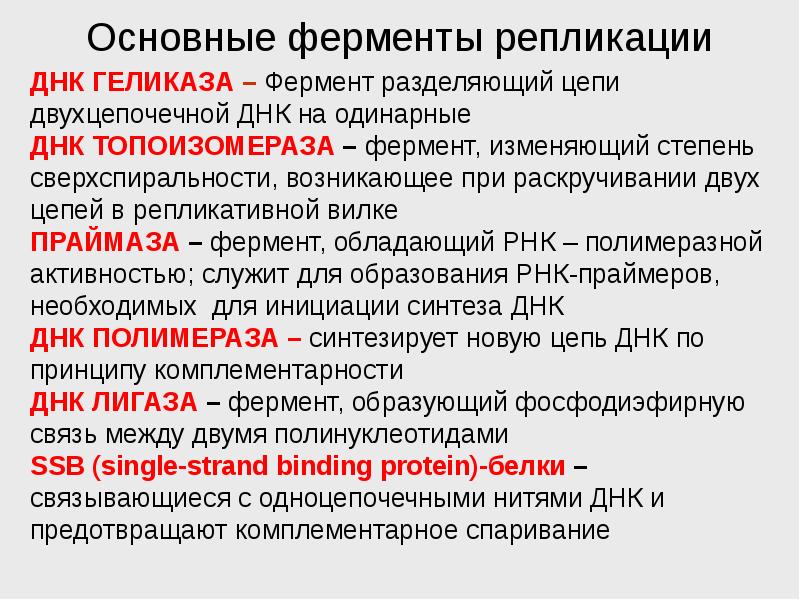 Белков репликации. Ферменты репликации таблица. Ферменты репликации молекулы ДНК таблица. Ферменты репликации ДНК И их функции. Основной фермент репликации ДНК.