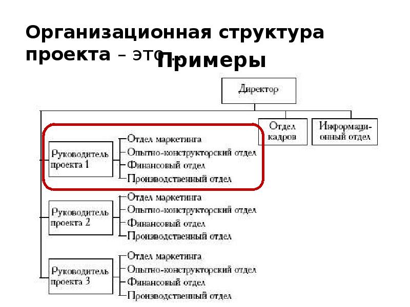 Организационный проект это