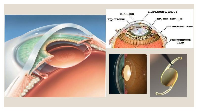 Сенсорная система презентация анатомия