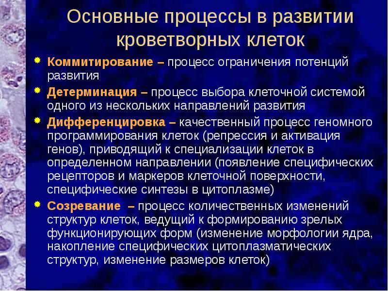 Качественный процесс