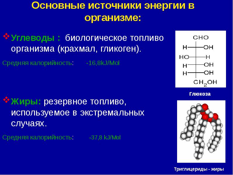 Биологически важные вещества жиры глюкоза белки 9 класс презентация