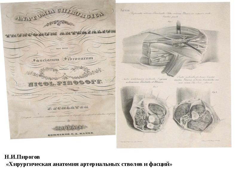 Хирургическая анатомия артериальных стволов и фасций пирогов. Пирогов Николай Иванович атлас. Николай Иванович пироговтипографическая анатомия. Хирургическая анатомия Пирогова.