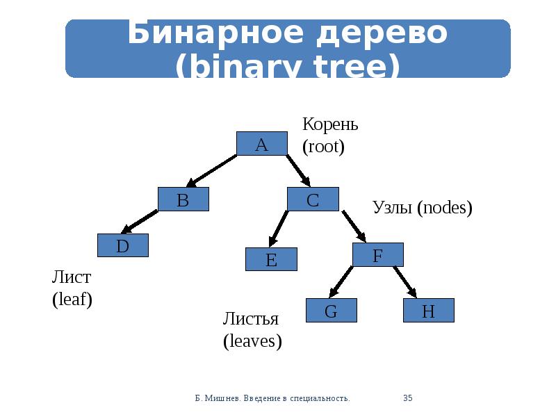 Презентация алгоритмы и структуры данных