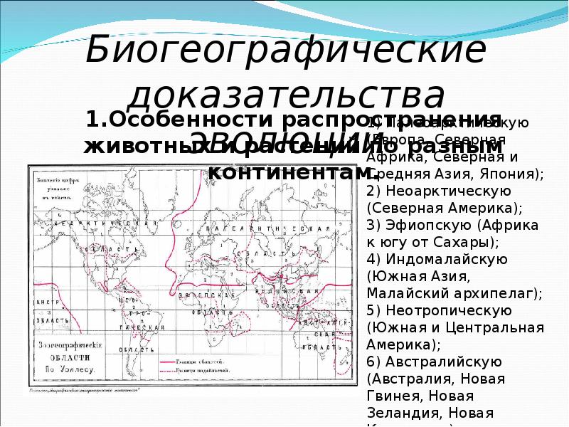 Основные доказательства. Биогеографические доказательства характеристика. Биогеографические области земли таблица. Биогеографические зоны. Биогеографические области земли.