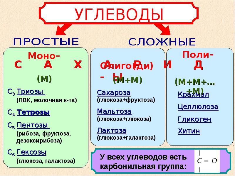 Вещества клетки углеводы. Химический состав клетки углеводы липиды. Элементарный состав углеводов и липидов в клетке. Углеводы конспект биология. Углеводы и липиды их роль в клетке.