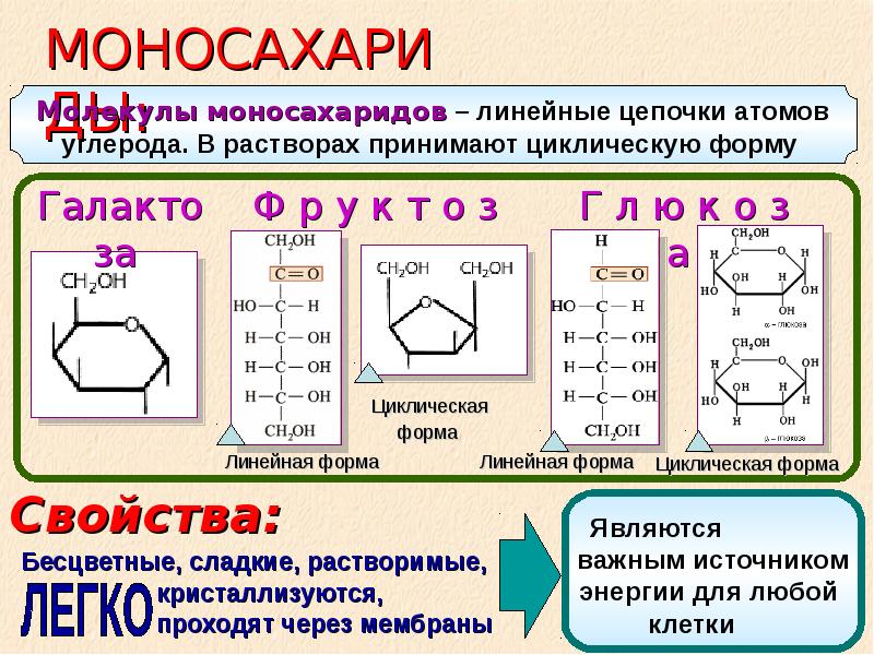 Презентация на тему углеводы по химии 9 класс